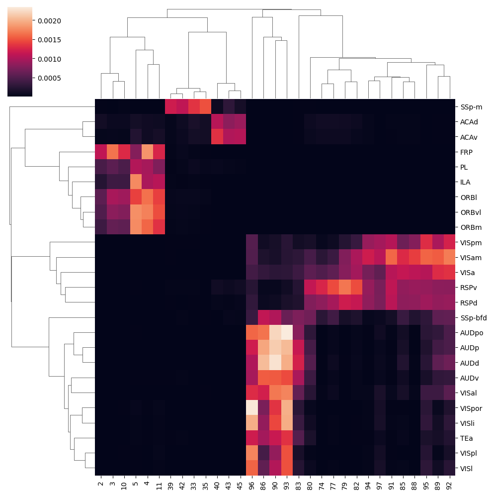 _images/10_ctx_cc_connection_and_correlation_13_0.png