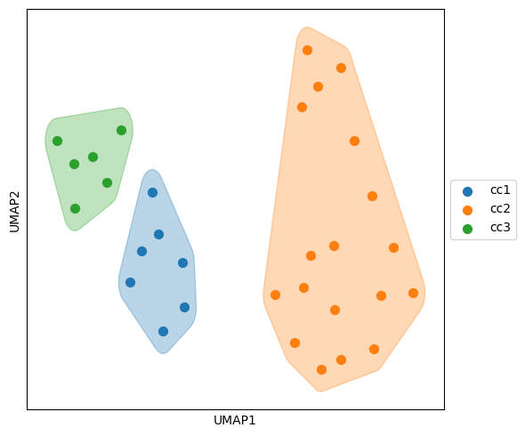 _images/10_ctx_cc_connection_and_correlation_16_0.png