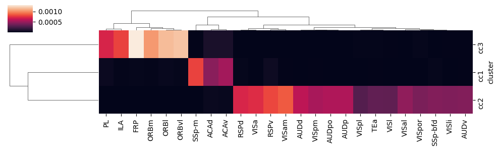 _images/10_ctx_cc_connection_and_correlation_23_1.png