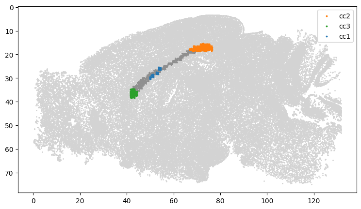 _images/10_ctx_cc_connection_and_correlation_31_1.png
