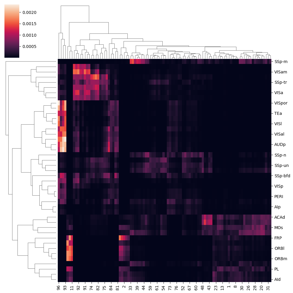 _images/10_ctx_cc_connection_and_correlation_9_0.png
