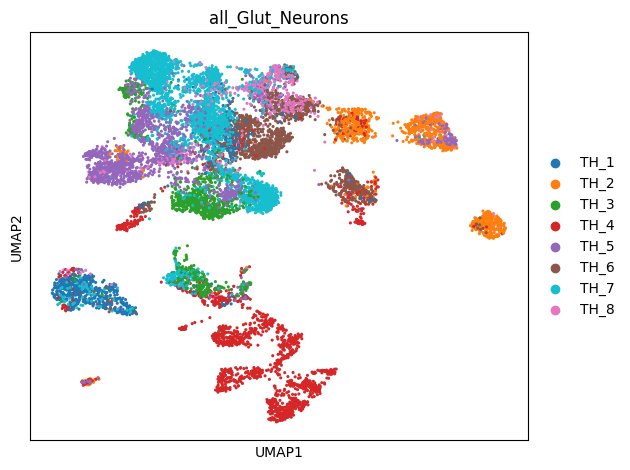 _images/1_ctx_th_connection_and_gene_exp_cluster_15_0.png