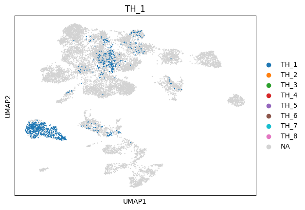 _images/1_ctx_th_connection_and_gene_exp_cluster_16_0.png