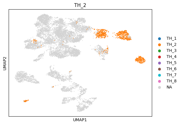 _images/1_ctx_th_connection_and_gene_exp_cluster_16_1.png