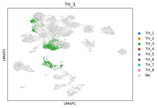 _images/1_ctx_th_connection_and_gene_exp_cluster_16_2.png