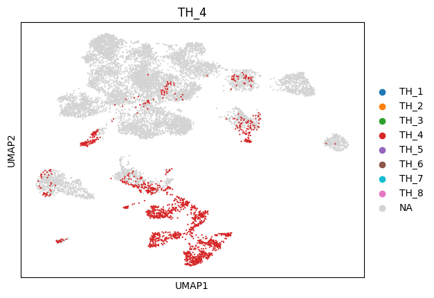_images/1_ctx_th_connection_and_gene_exp_cluster_16_3.png