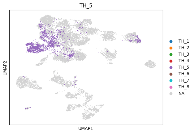 _images/1_ctx_th_connection_and_gene_exp_cluster_16_4.png