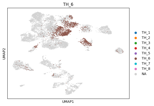 _images/1_ctx_th_connection_and_gene_exp_cluster_16_5.png