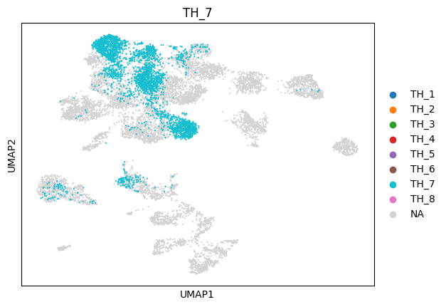 _images/1_ctx_th_connection_and_gene_exp_cluster_16_6.png