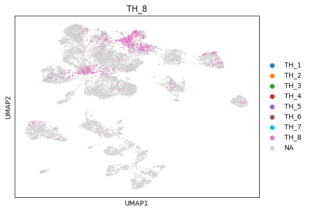 _images/1_ctx_th_connection_and_gene_exp_cluster_16_7.png
