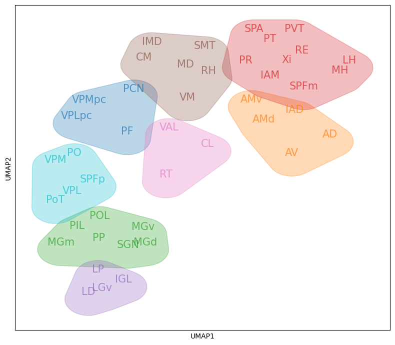 _images/1_ctx_th_connection_and_gene_exp_cluster_9_0.png