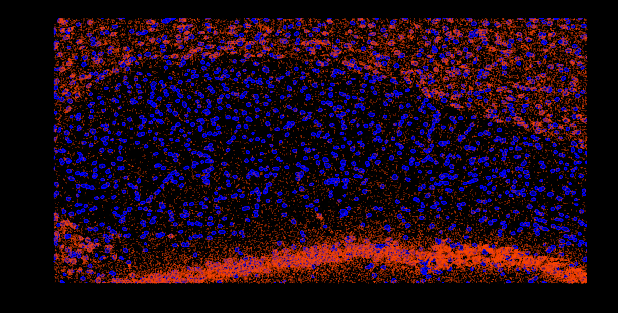 _images/7_cc_mRNA_and_cell_plot_16_7.png